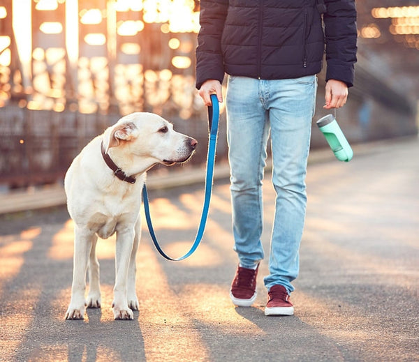 Outdoor Portable Pet Water Bottle